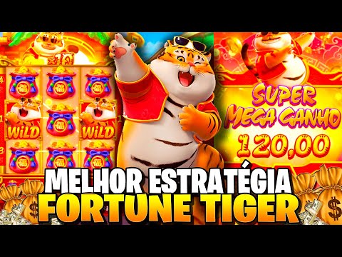 melhor horário para jogar fortune tiger à à noite Cartaz