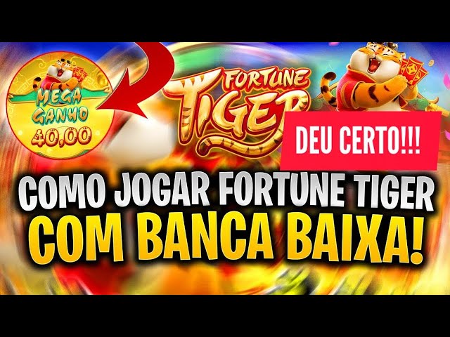 tiger fortune bet imagem de tela 2