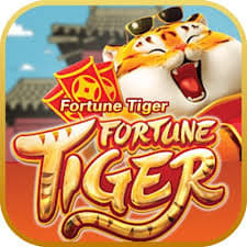 horario que paga fortune tiger ícone